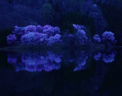  | 絶景事典