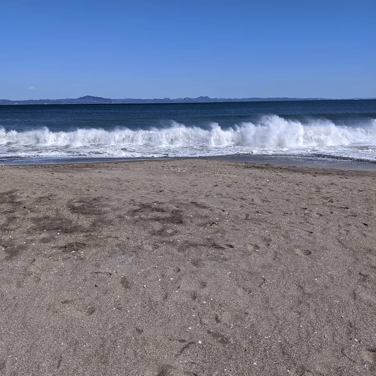 投稿写真：三浦海岸