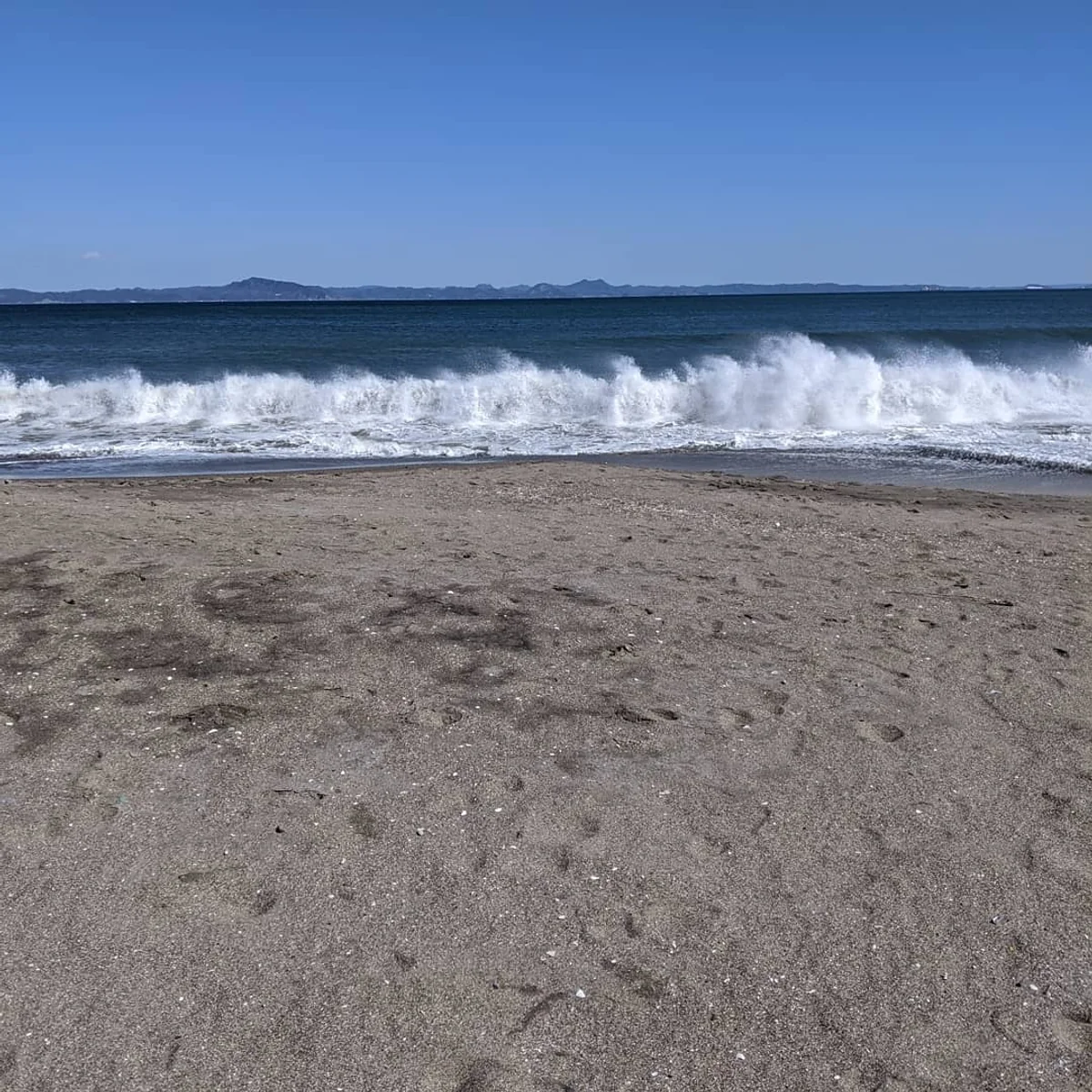 投稿写真：三浦海岸