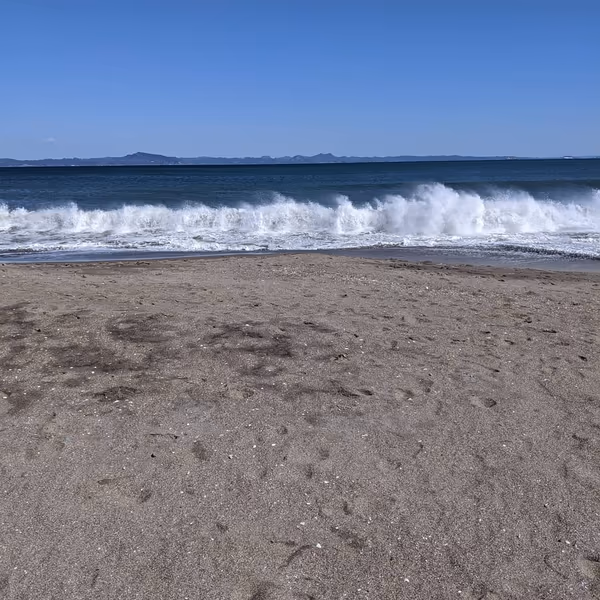 投稿：三浦海岸