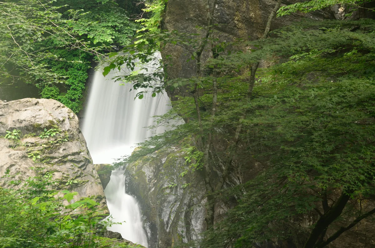 投稿写真：渓流