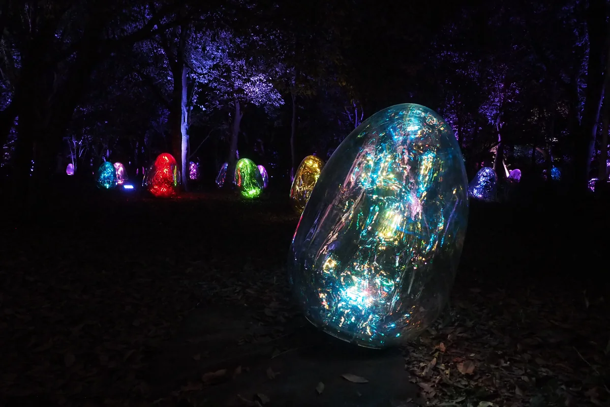 投稿写真：光の繭