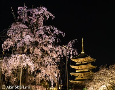 | 絶景事典