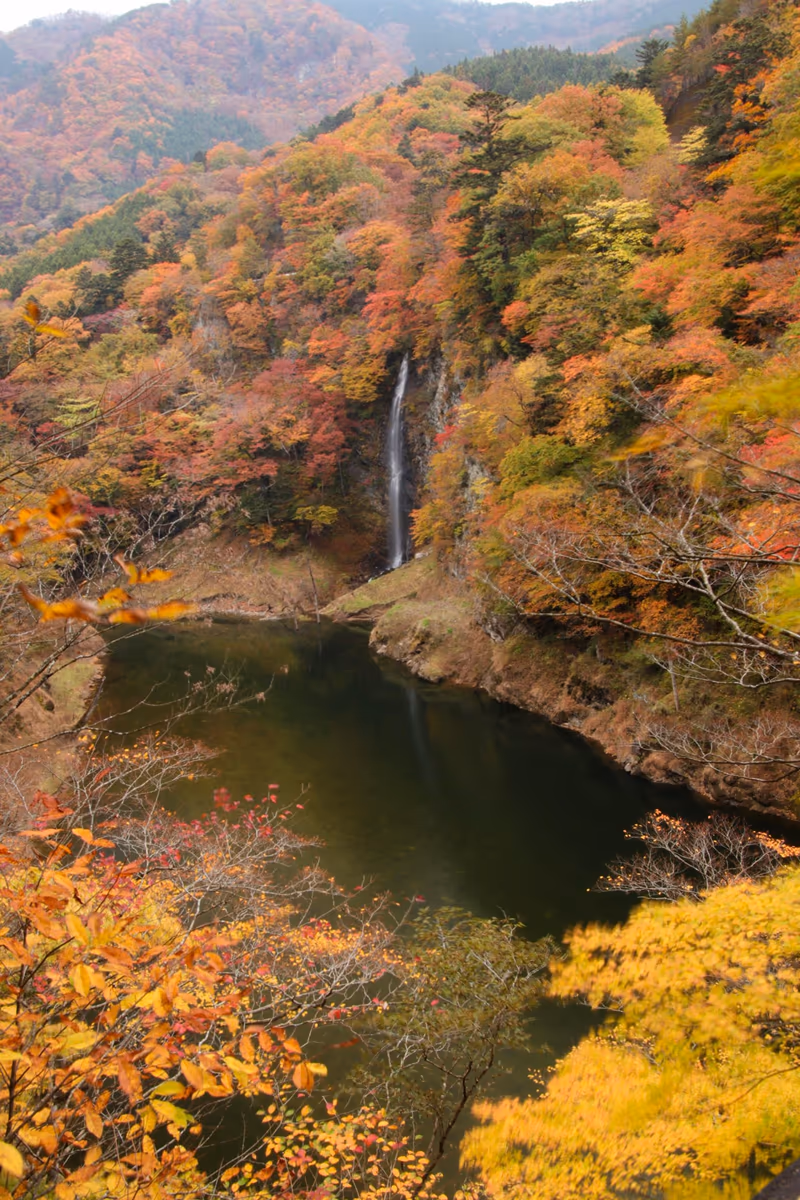 投稿写真：回顧の滝