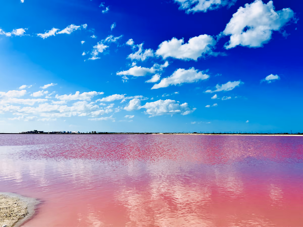 投稿写真：Las Coloradas Yucatán