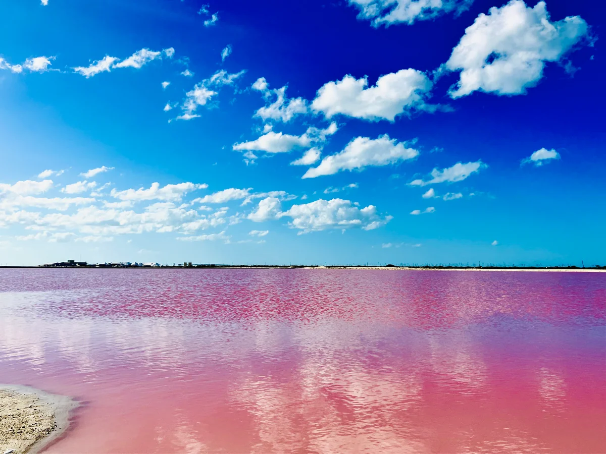 投稿写真：Las Coloradas Yucatán