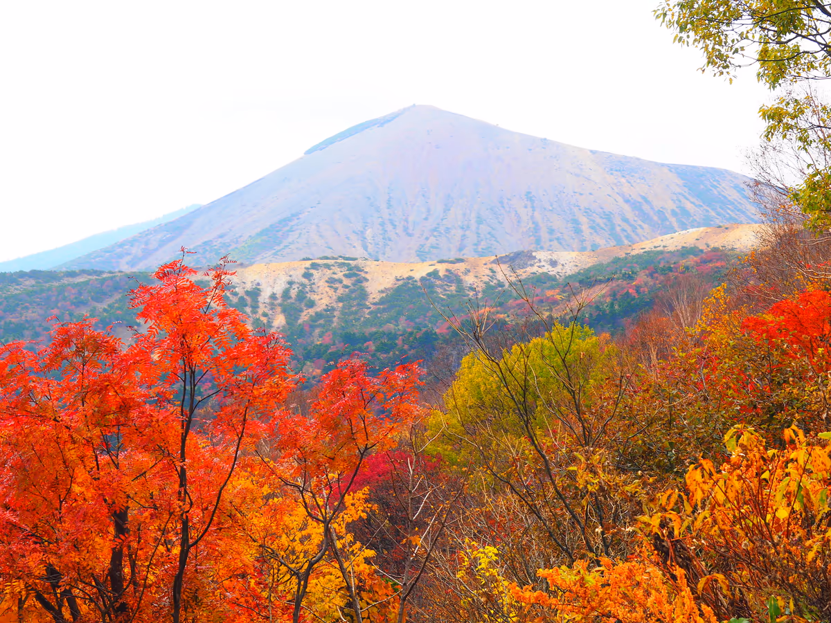 投稿写真：紅葉美しい吾妻小富士