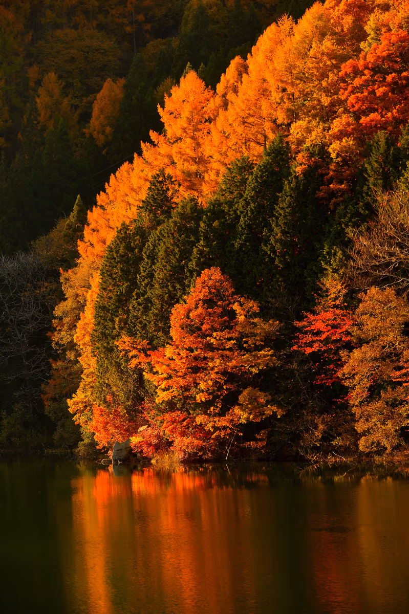 投稿写真：湖面に映る紅葉