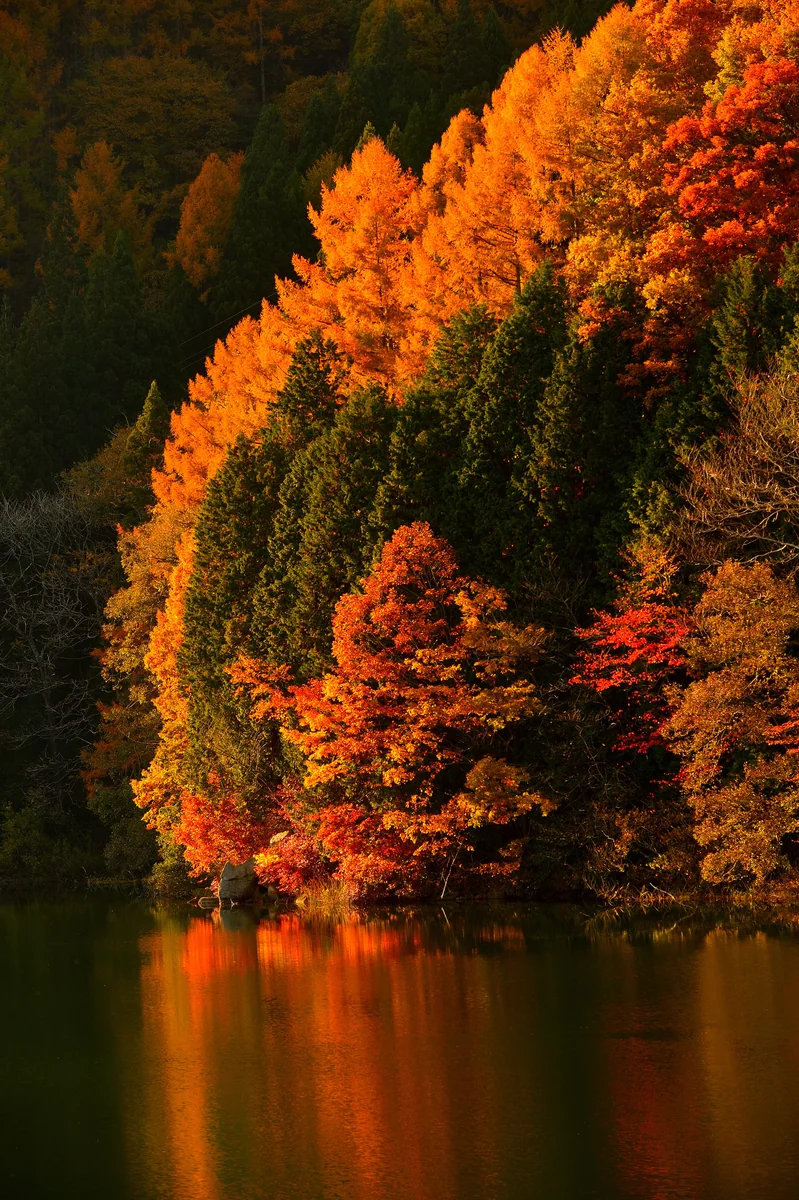 服部 勝司さんの投稿写真
