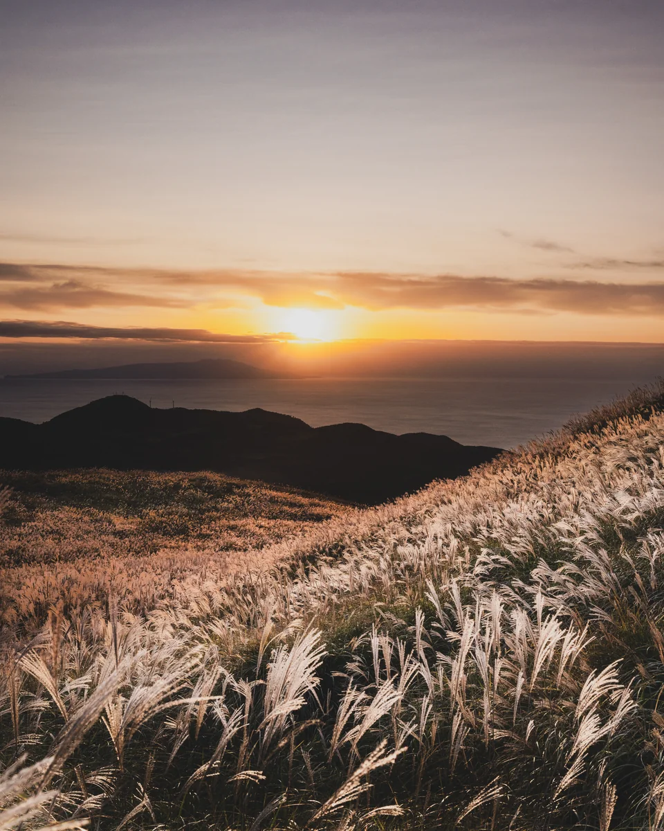 バローズすぎるさんの投稿写真
