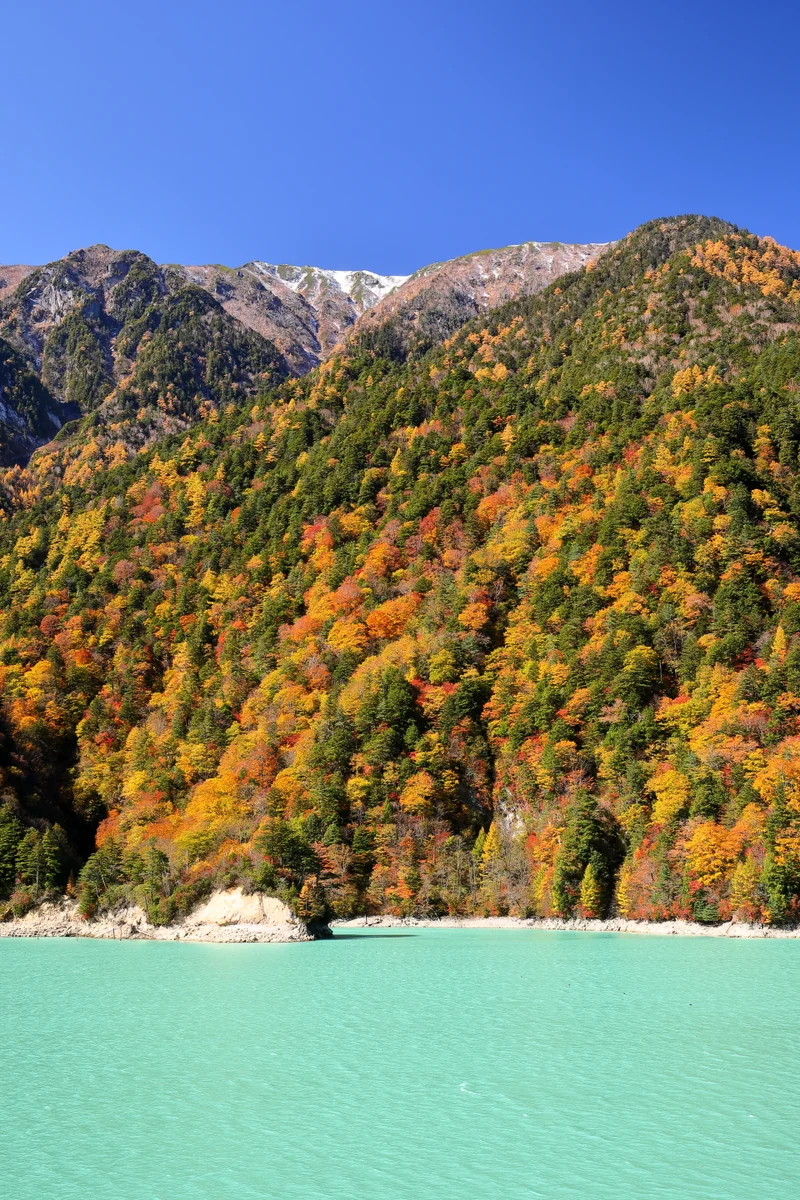 投稿写真：青空と紅葉とエメラルドグリーンの湖面