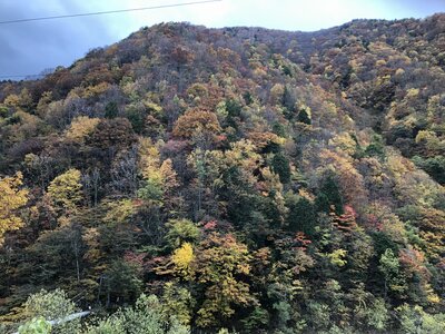  | 絶景事典