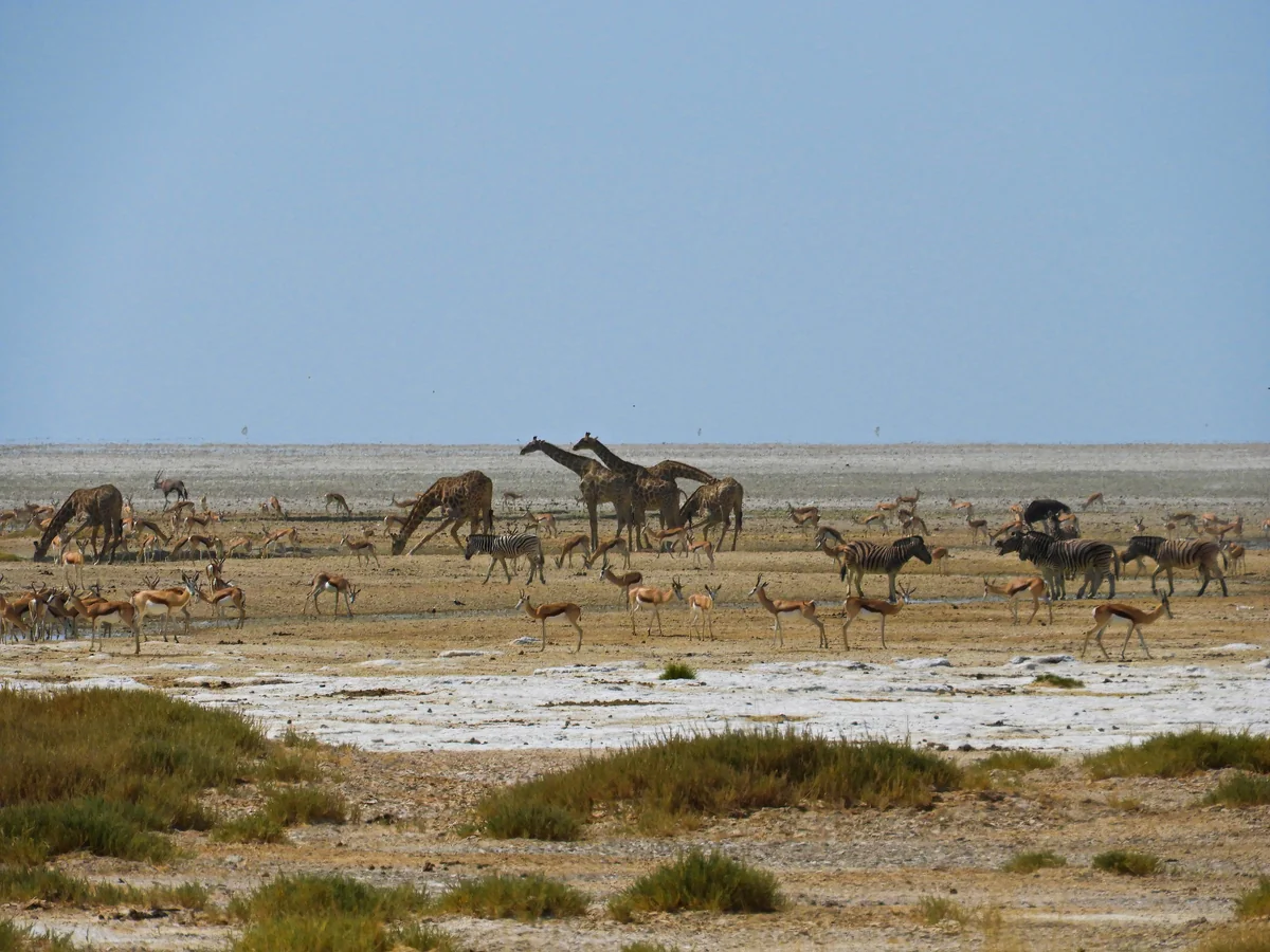 投稿写真：楽園