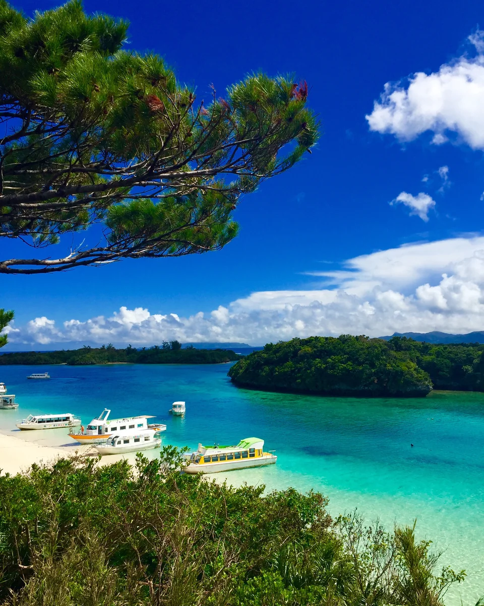 投稿写真：ただただ青い