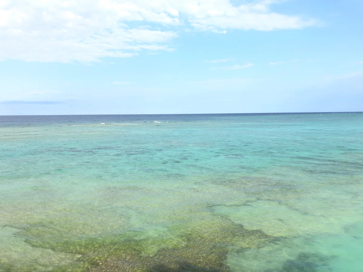 投稿写真：地球色