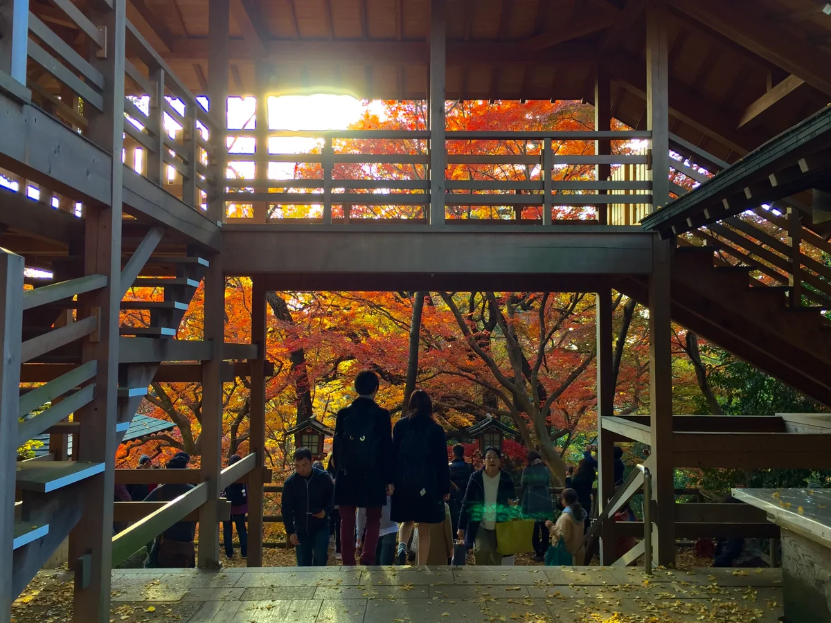 投稿写真：紅葉さんぽ