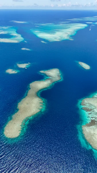 投稿：八重干瀬