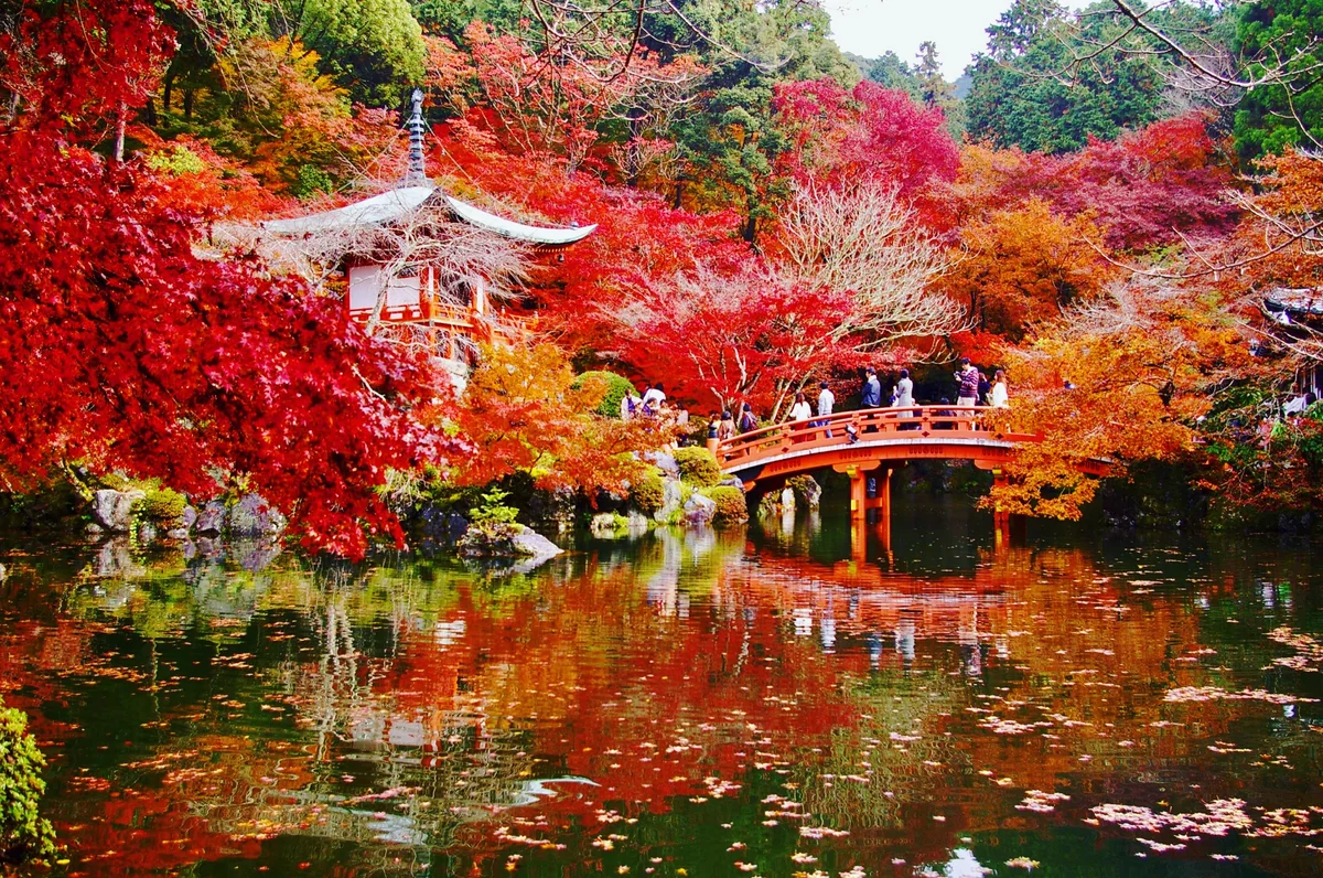 投稿写真：秋の醍醐寺