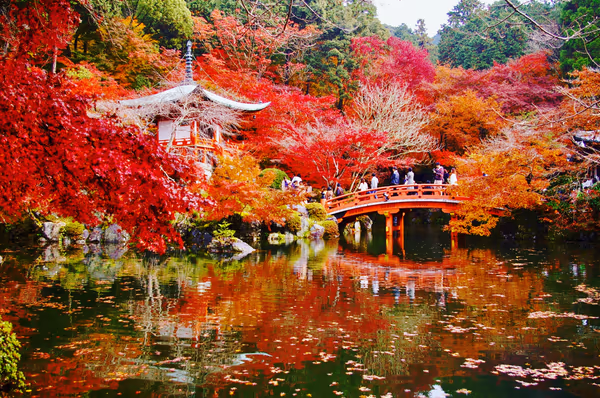投稿：秋の醍醐寺