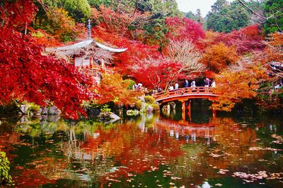  | 絶景事典