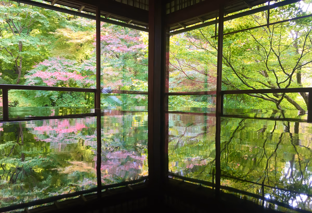 投稿写真：初秋の瑠璃光院