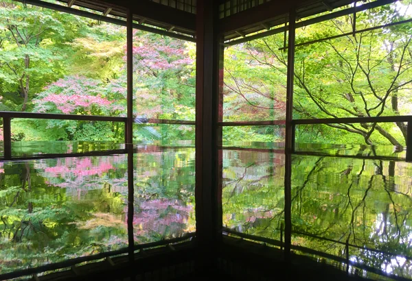 投稿：初秋の瑠璃光院