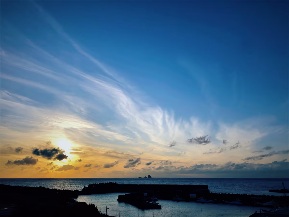 投稿写真：南の島のクリスマス