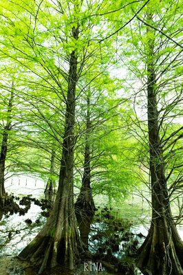  | 絶景事典
