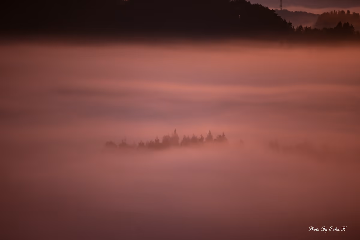 投稿写真：幻影