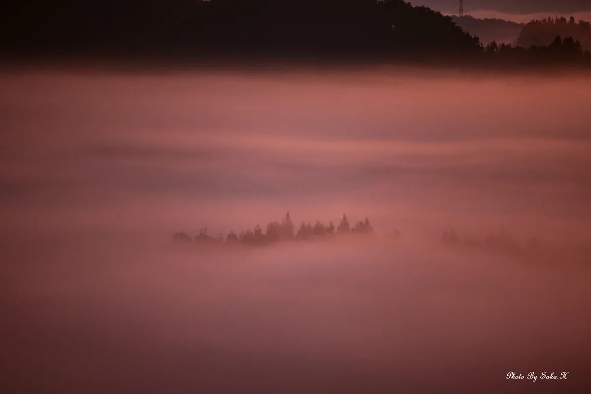 投稿写真：幻影