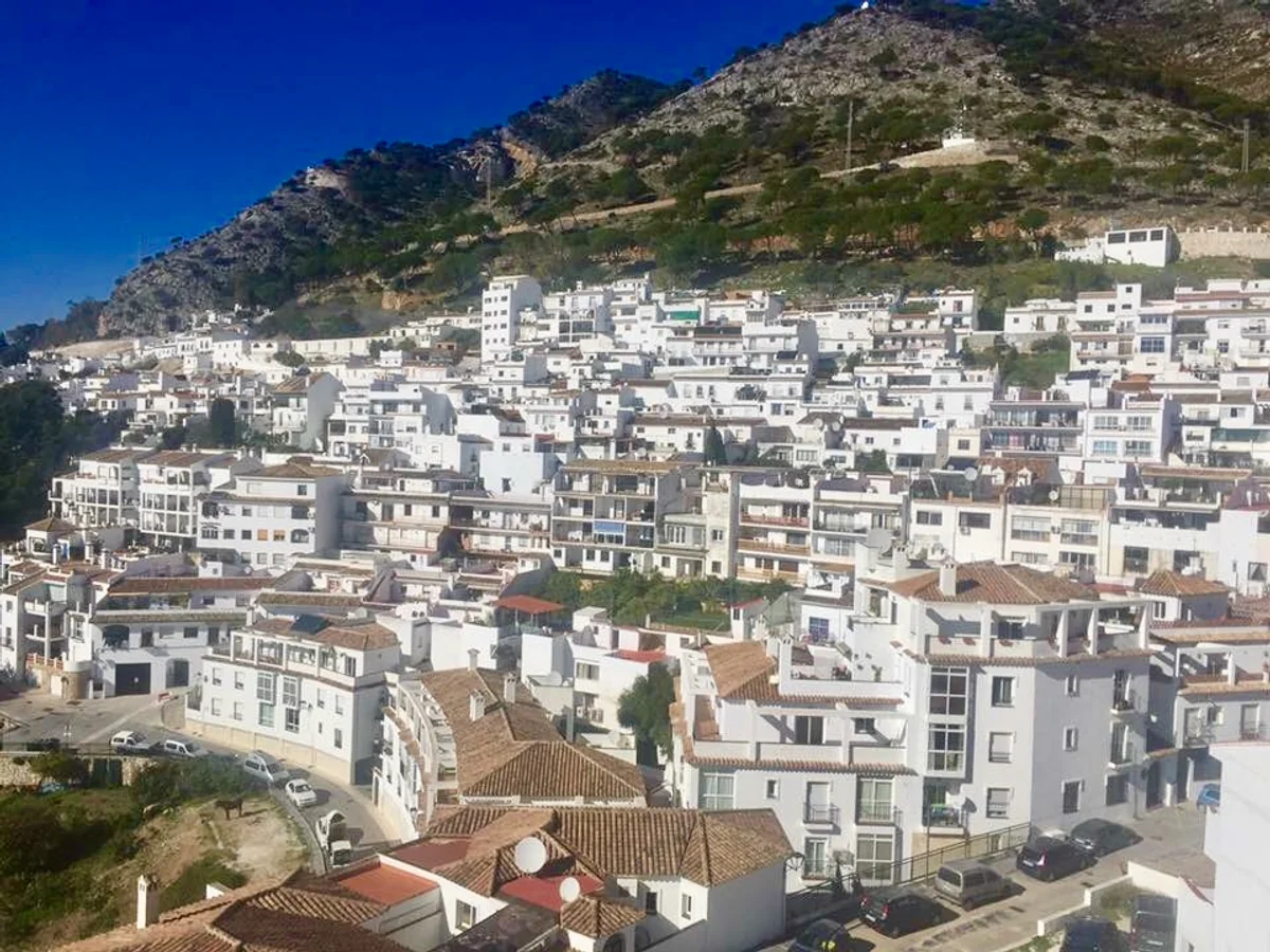 投稿写真：白い家