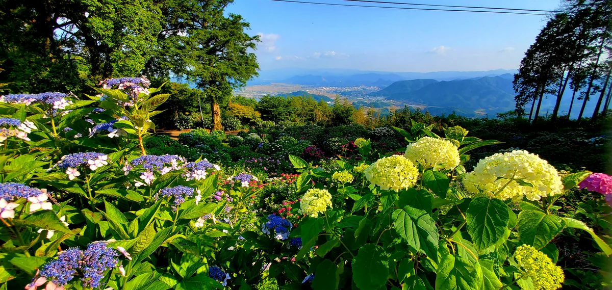 投稿写真：お寺から武雄市内