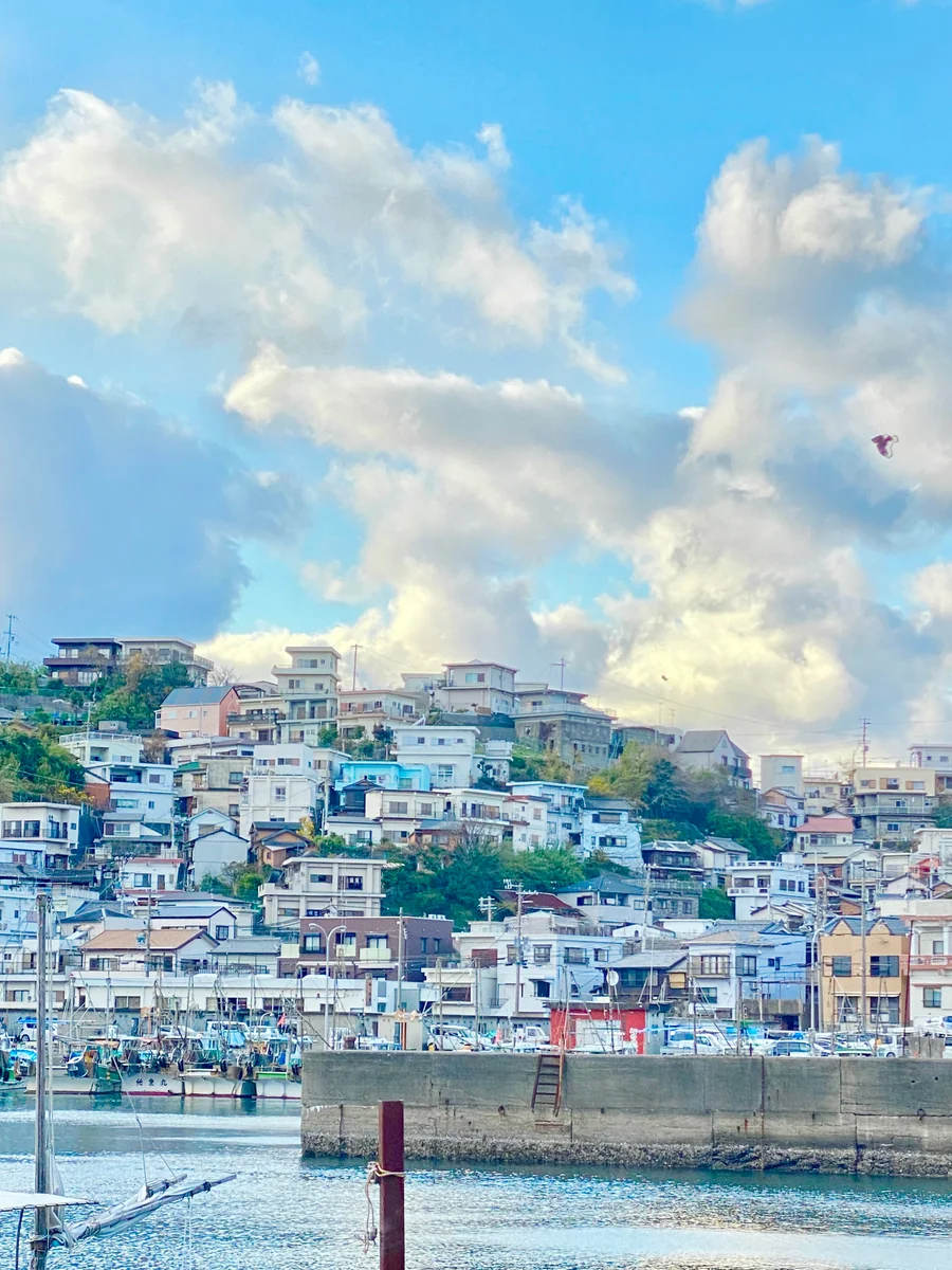 投稿写真：日本のアマルフィ「絶景の宝庫 和歌の浦」雑賀崎