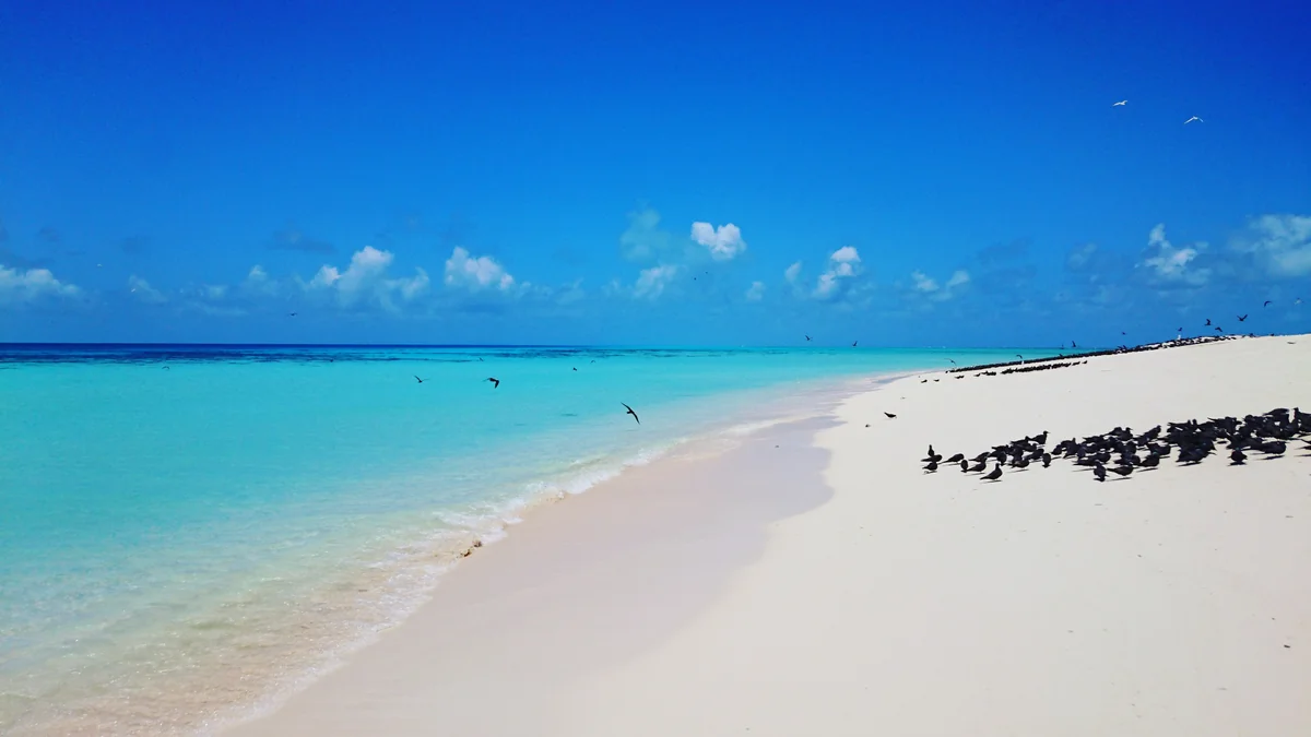 投稿写真：ミコマスケイ