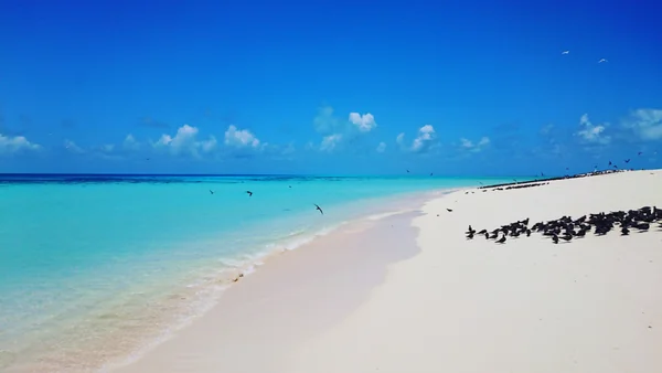 投稿：ミコマスケイ