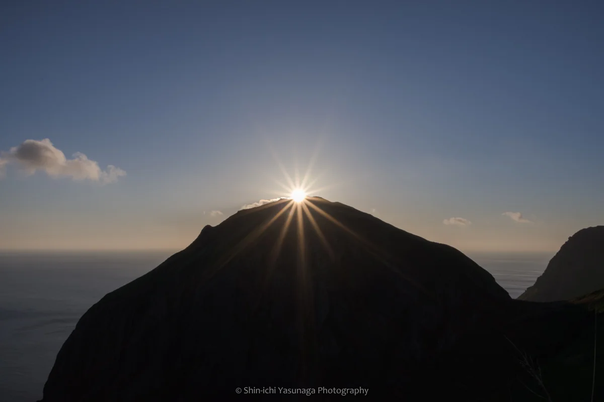 投稿写真：ダイヤモンド・ピーチ