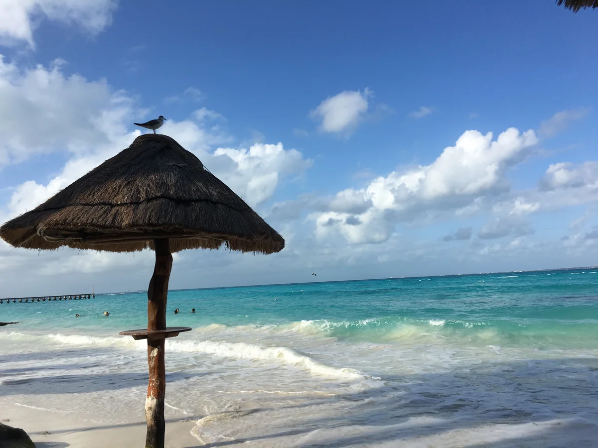 投稿写真：カリブ海の海