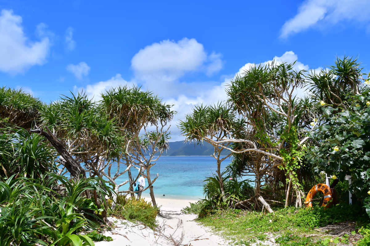 投稿写真：奄美大島 崎原ビーチ