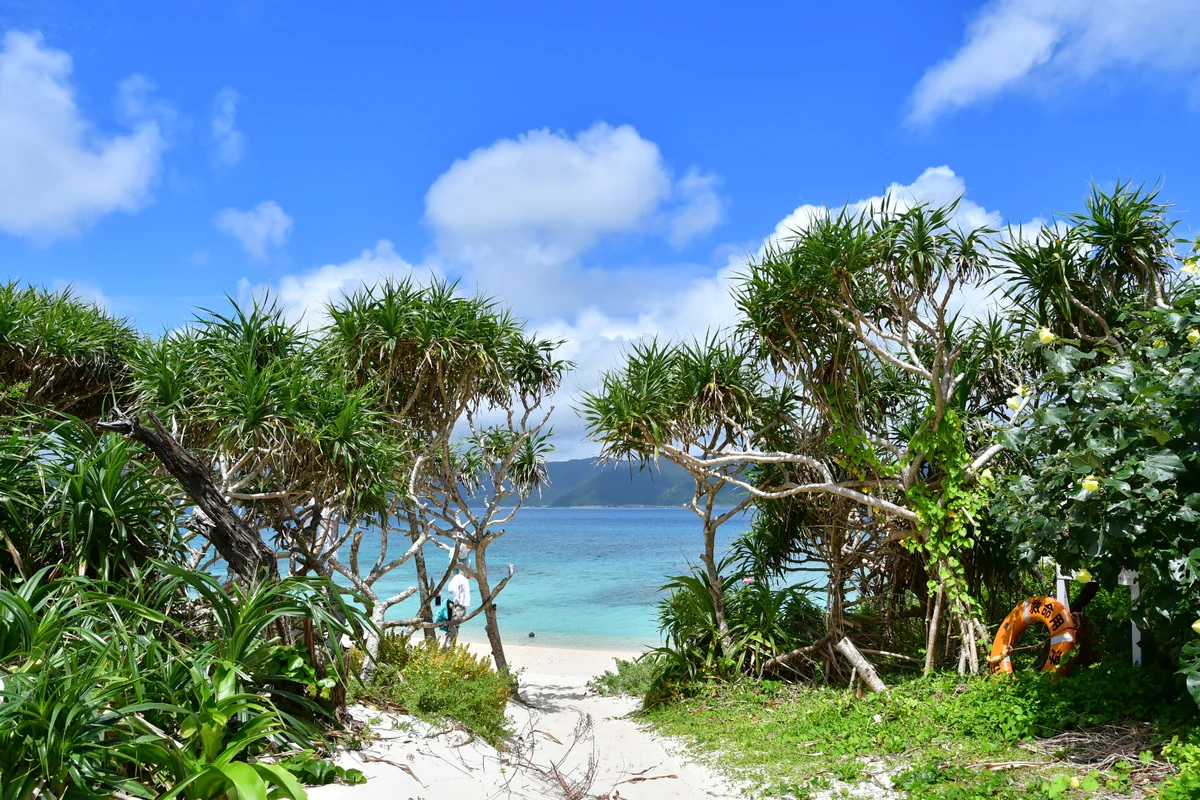 投稿写真：奄美大島 崎原ビーチ