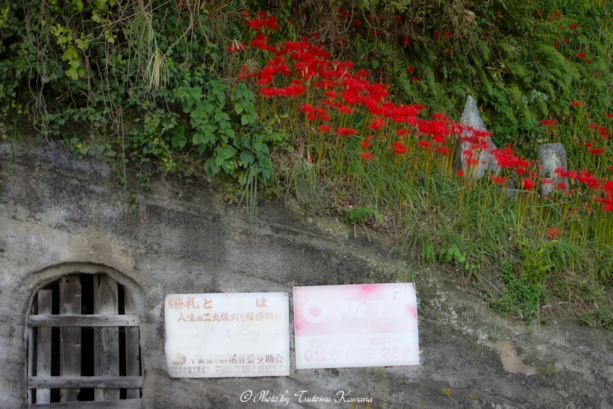 投稿写真：昭和ノスタルジィな、時が止まった情景