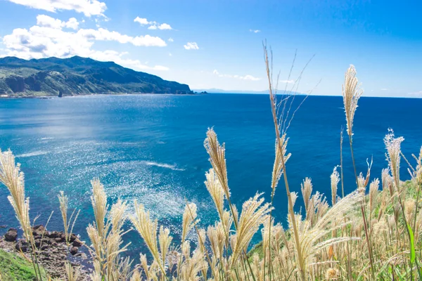 投稿：女人禁制の門を抜けて