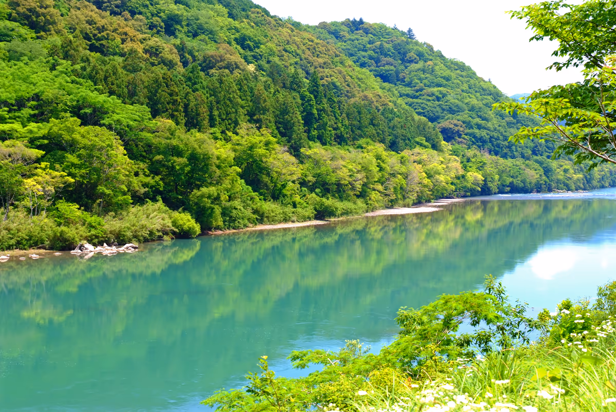 投稿写真：四万十の薫風