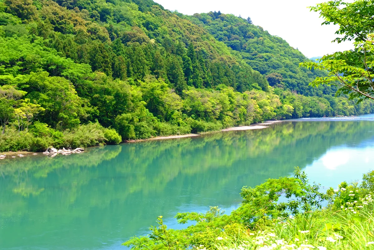 投稿写真：四万十の薫風