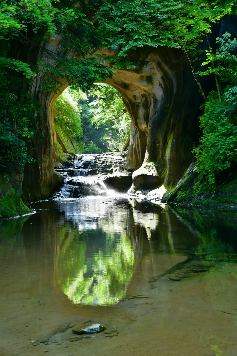 投稿写真：亀岩の洞窟