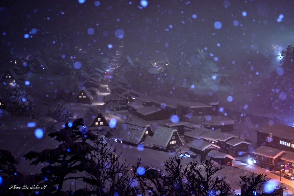 投稿写真：雪降る夜