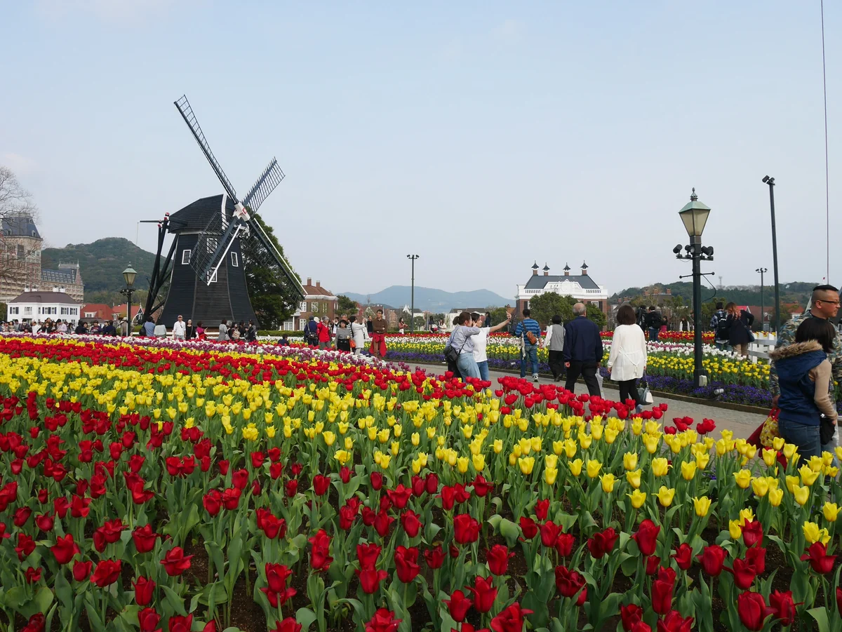 投稿写真：090ハウステンボス　チューリップ祭（長崎）