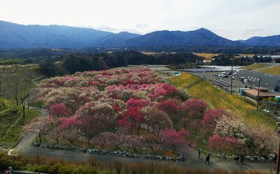  | 絶景事典