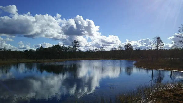 投稿：エストニアの雄大な自然