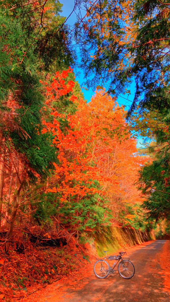 投稿写真：葛城山  紅葉ride🍁