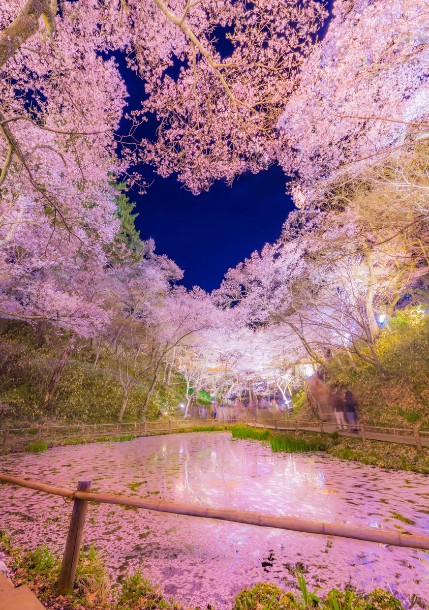 投稿写真：高遠城址公園